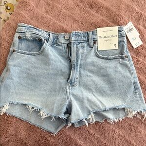 Abercrombie & Fitch High Waist Light Blue Denim Shorts